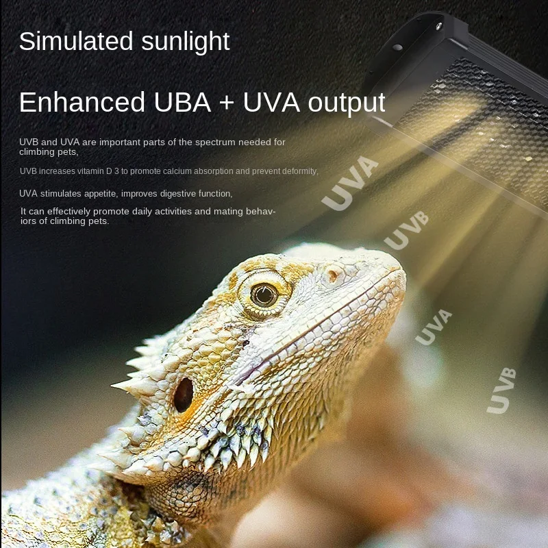 파충류 UVA + UVB 전체 스펙트럼 LED UV 램 - Calcium Powder Reptile 리뷰 및 가격