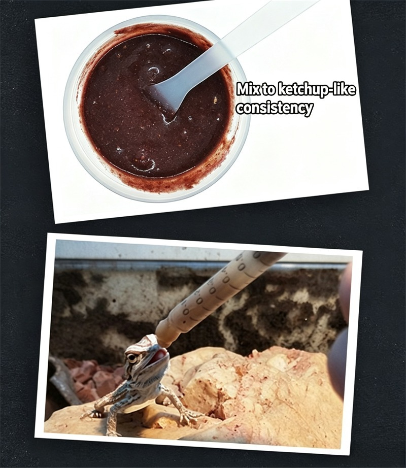 파충류용 사료, 도마뱀용, 곤충 및 과일 페이스트, 칼 - Calcium Powder Reptile 리뷰 및 가격
